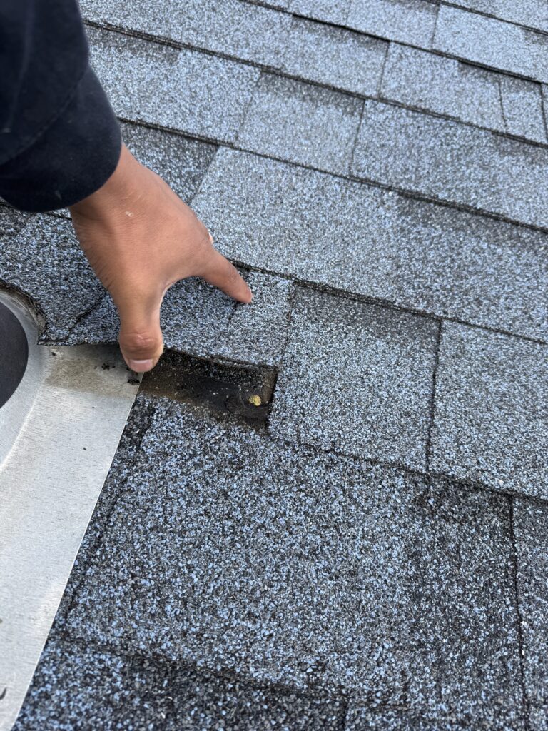 img 1746